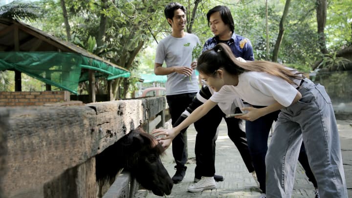 Three friends petting an animal at a petting zoo.