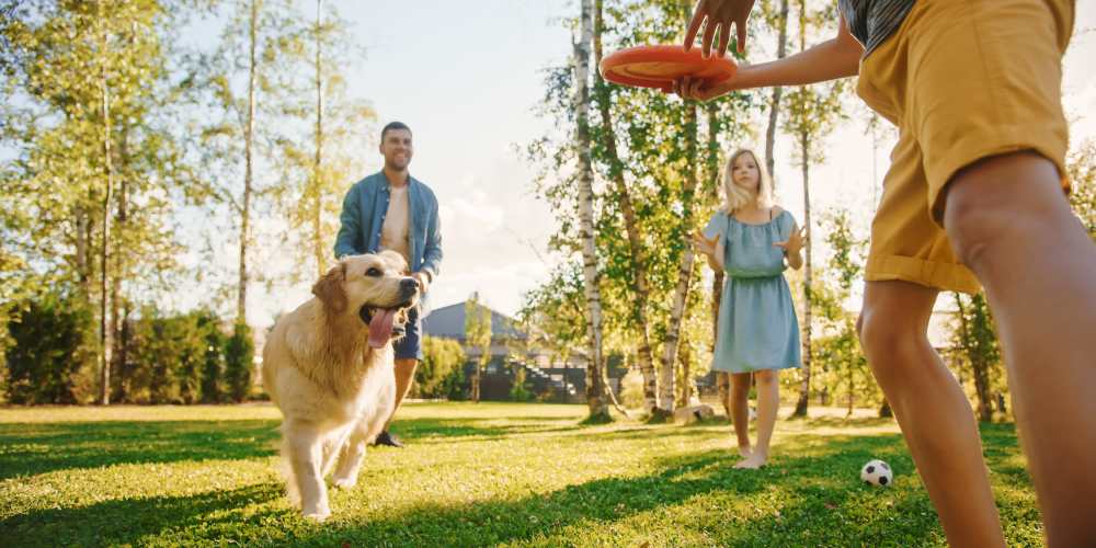 Residents playing with their dog at BB Living Seven Shores in Naples, Florida