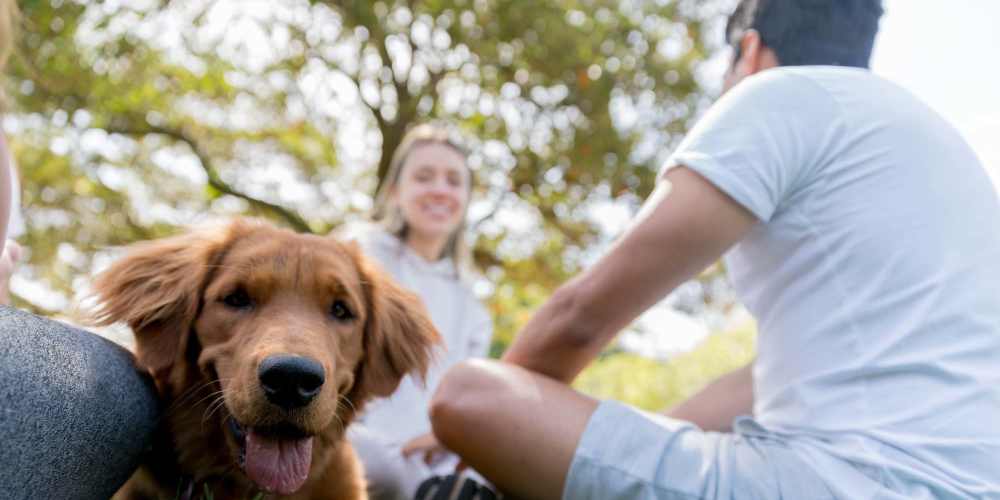 Residents and their puppy sitting on grass at Marlowe Place in Charlotte, North Carolina