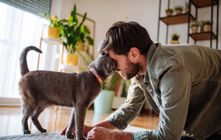 Resident playing with his cat at Cypress Point in Mooresville, North Carolina