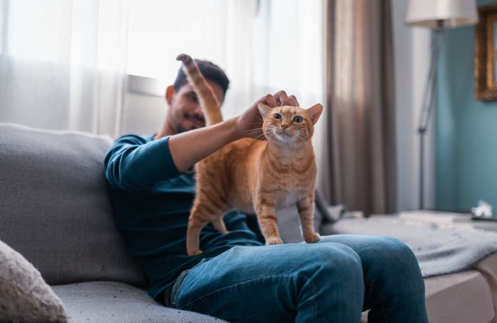 Resident petting his cat while sitting on the couch at Hunters Run in Middleburg, Florida