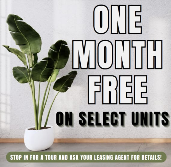 The Reston Apartments JUNE Special - One Month Free on select apartment homes. Limited Availability - Act Fast! **Discount applies after first full months rent.