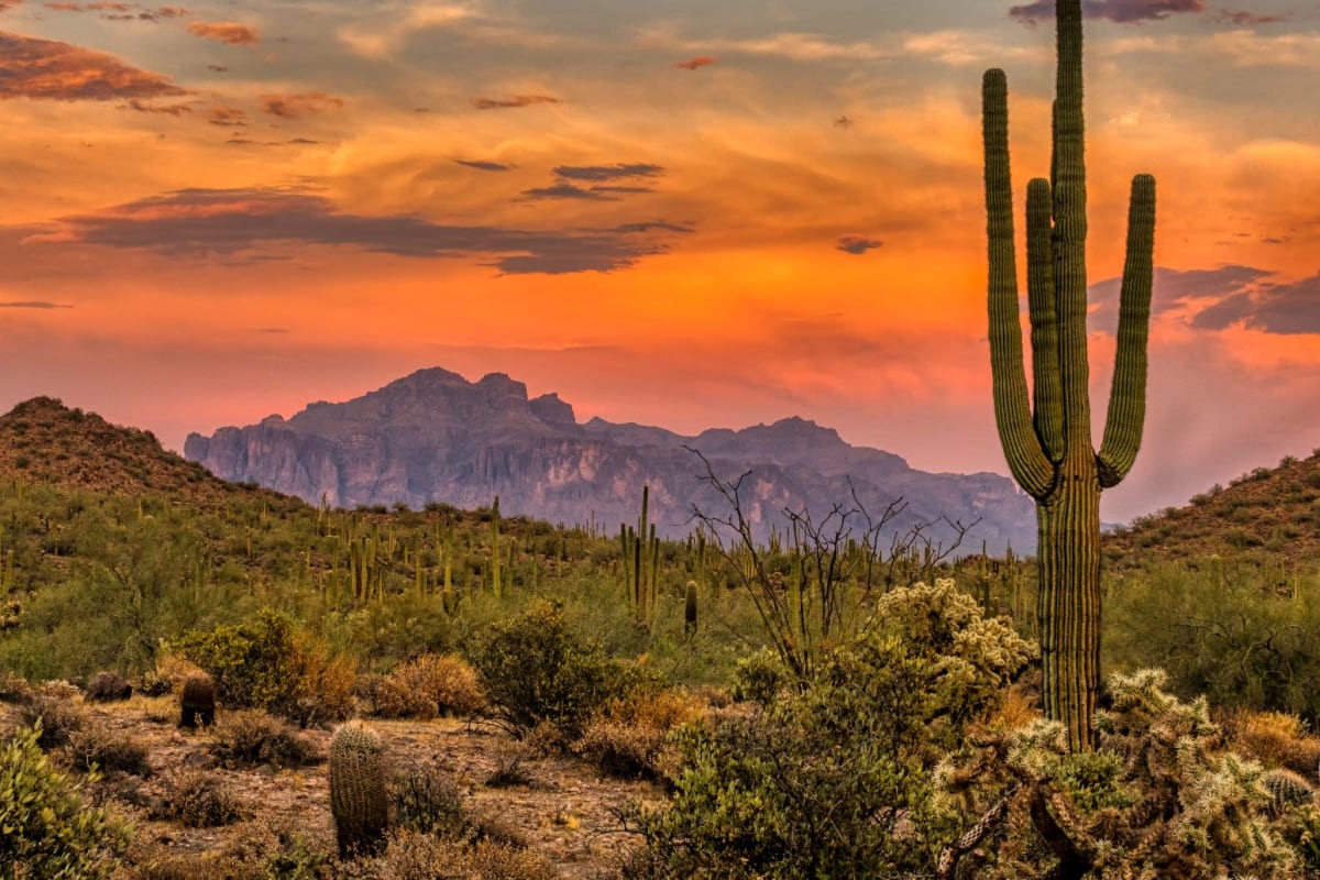 Sunset near Tamarron, Phoenix, Arizona