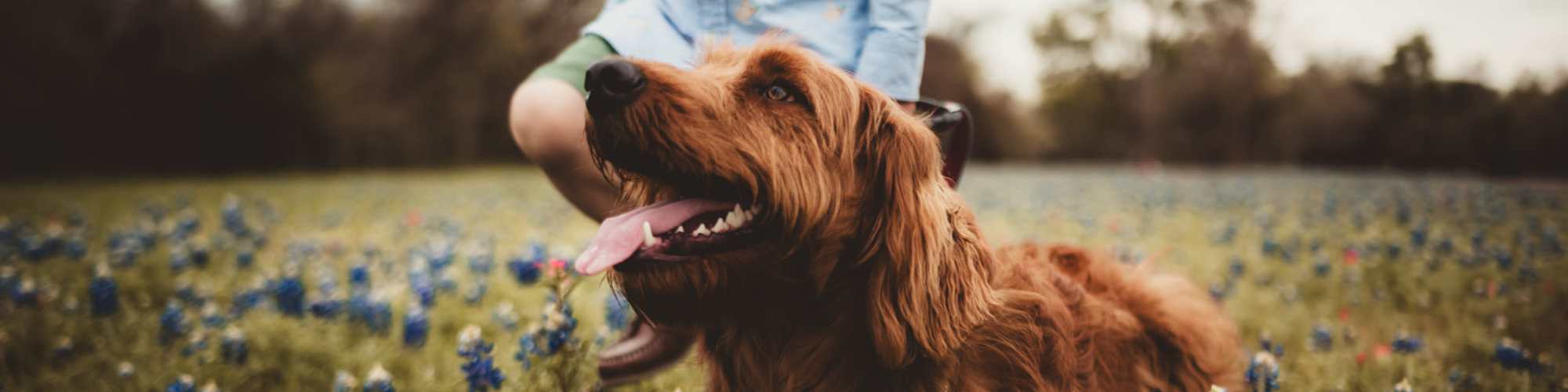 Pet Friendly | Whispering Pines Ranch in The Woodlands, Texas
