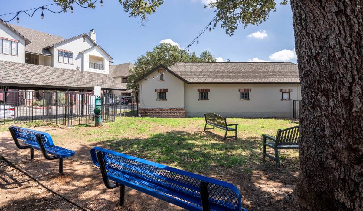 Dog park at Sonterra Heights in San Antonio, Texas