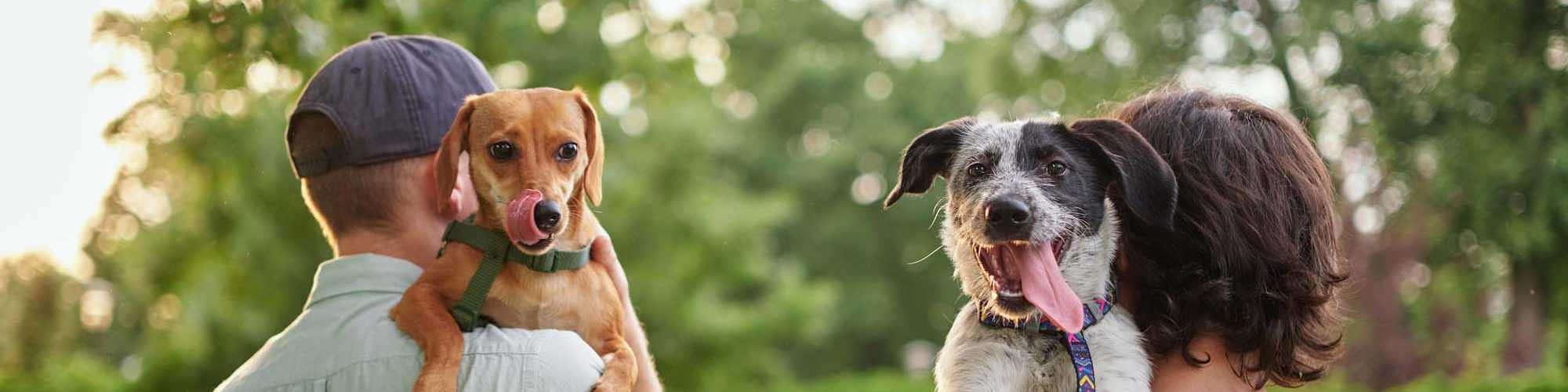 Pet-Friendly | Whispering Plains Apartments in Guymon, Oklahoma