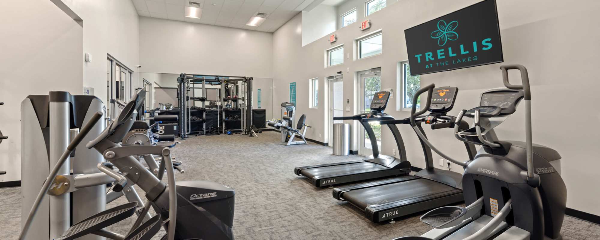 Fitness center at Trellis at the Lakes in St. Petersburg, Florida