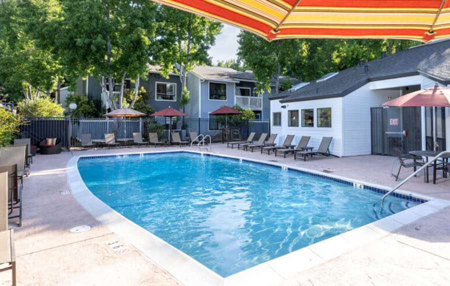 Swimming pool with canopy and lounge seating at Amber Court in Fremont, California