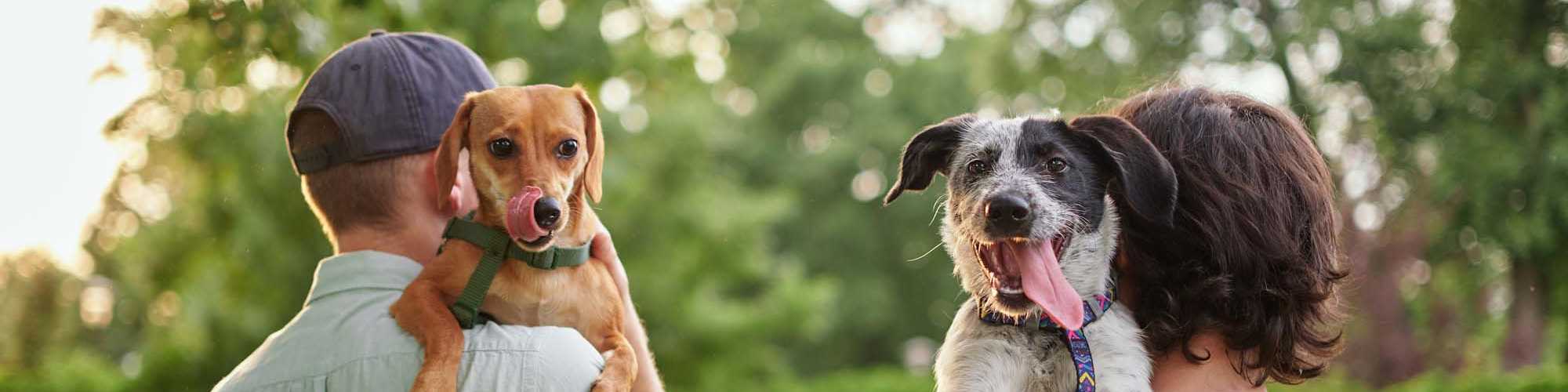 Pet Friendly | Oak Park Apartments in Bakersfield, California