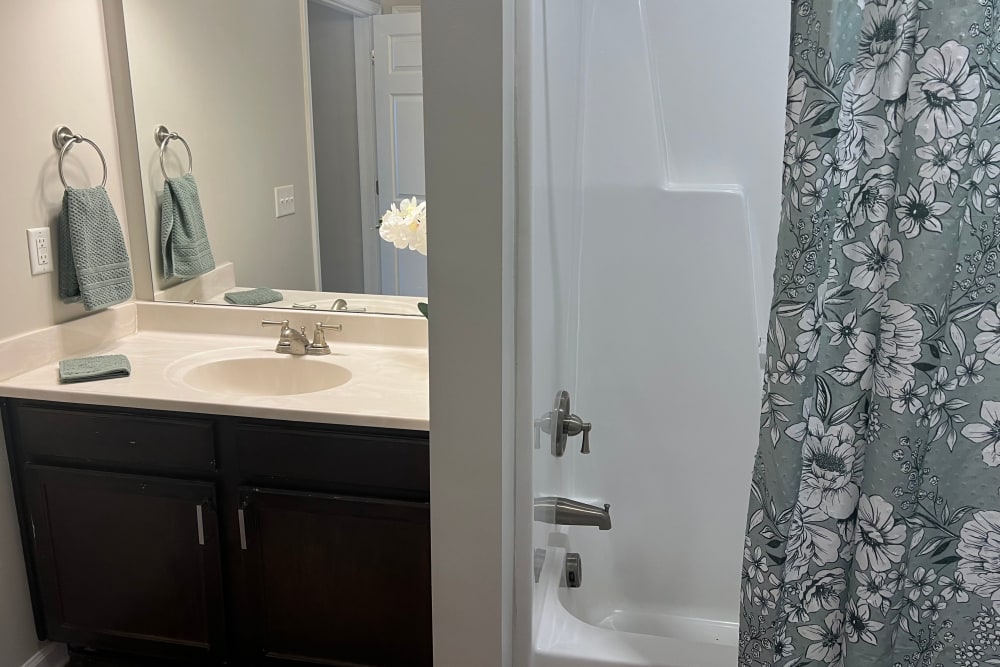 Bathroom amenities in a model home at The Park at Aventino in Greensboro, North Carolina