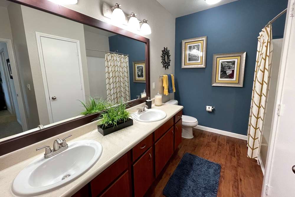 Modern Apartments at The Abbey at Grant Road in Houston, Texas