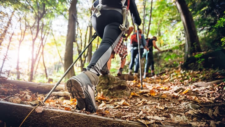 Hiker with trekking sticks on trail.