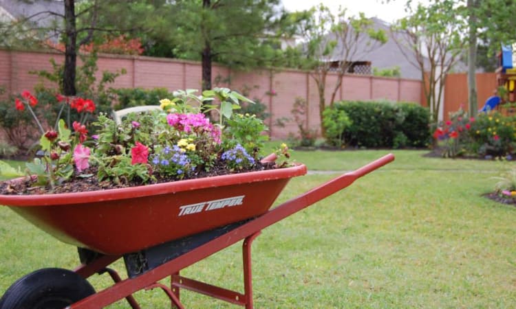Well manicured courtyard at Autumn Grove Cottage at Katy in Katy, Texas