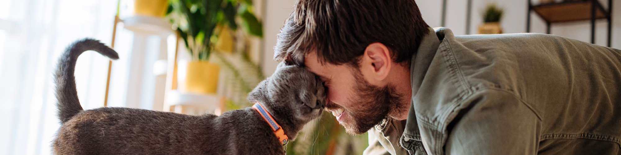 Pet Friendly | Lakewood Crossing in Granbury, Texas  