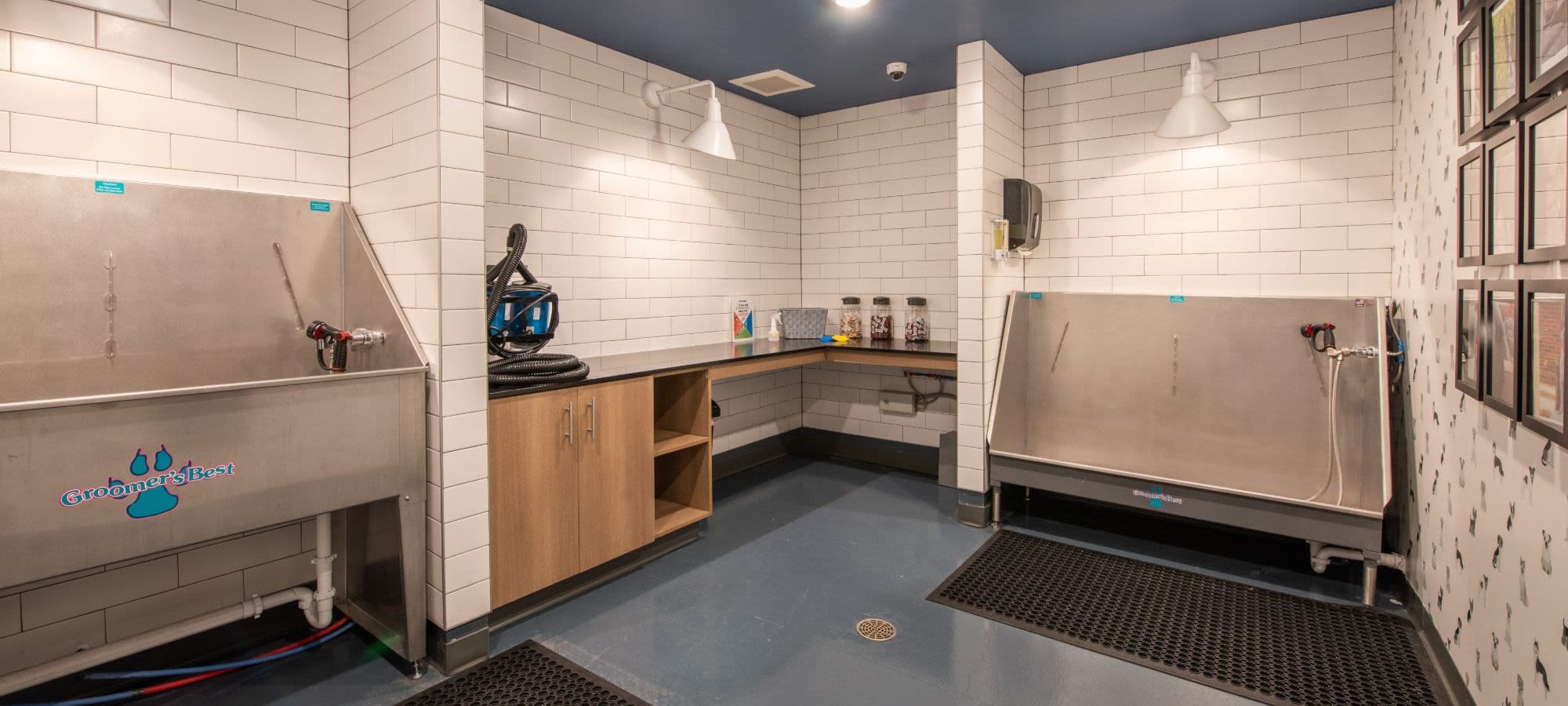 Pet policy at Marq Iliff Station in Aurora, Colorado