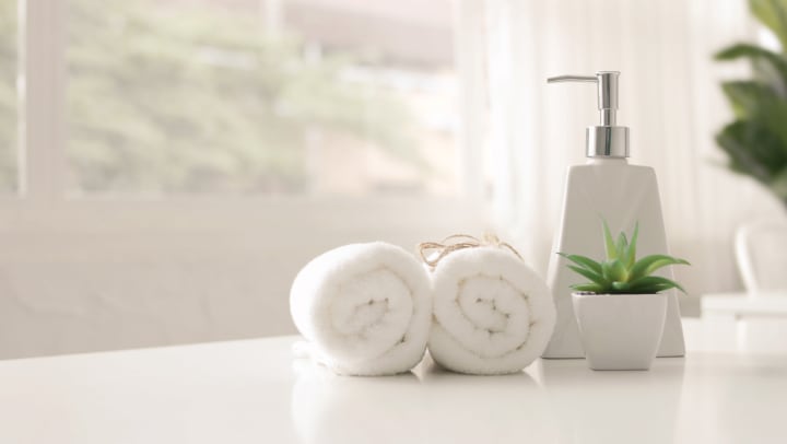 Rolled towels next to a soap dispenser and a small succulent on a white countertop. 