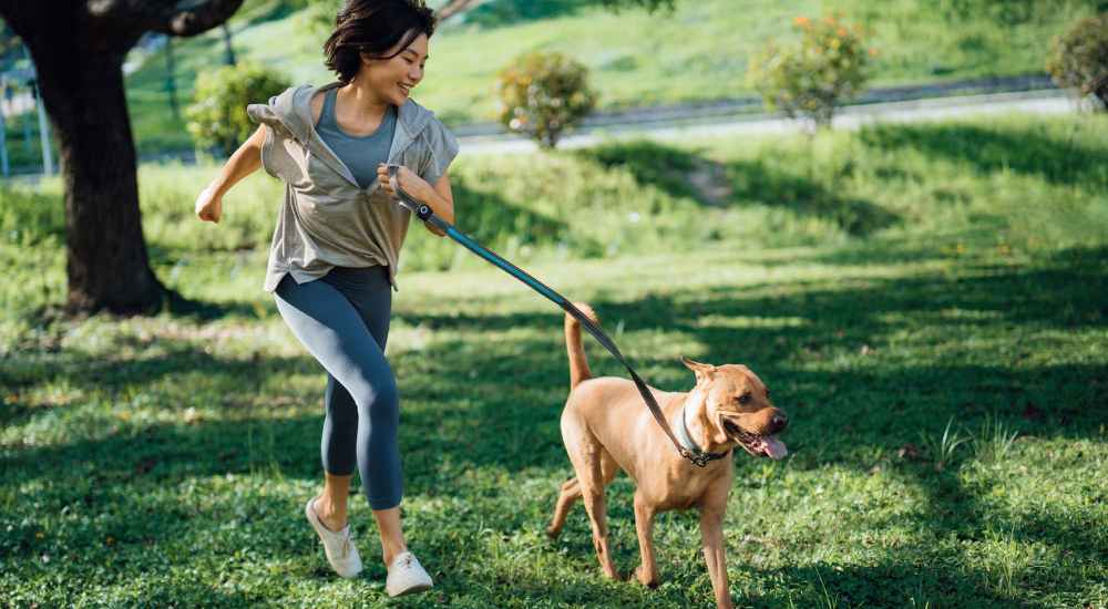 Resident running with their pet in a dog park near Tarzana Springs in Tarzana, California