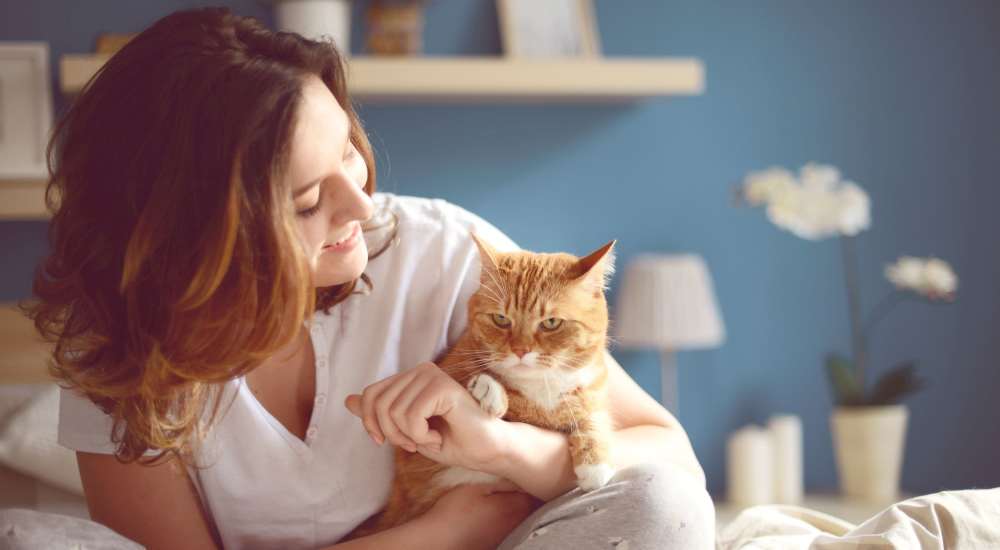 Resident playing with her cat in her pet-friendly apartment at The Eva in Sandy Springs, Georgia