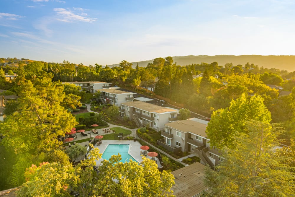 Beautiful view of the property's lush vegetation from a distance at Pleasanton Heights in Pleasanton, California