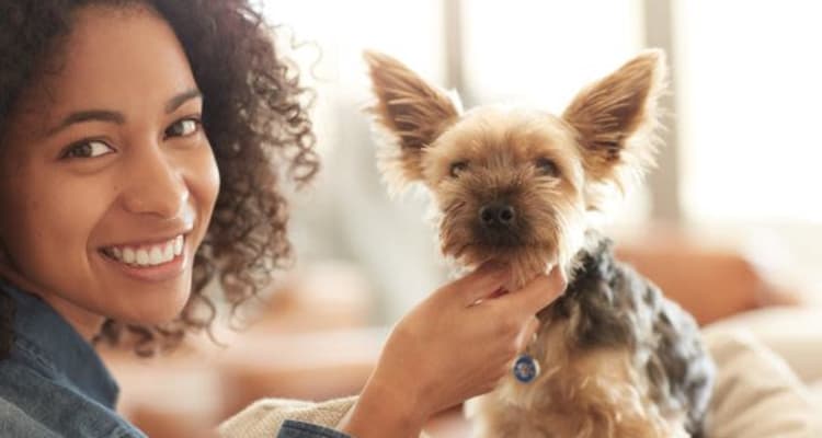 Dog Park at Chase Lea Apartment Homes in Owings Mills