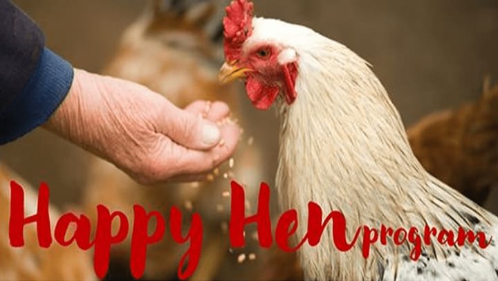 Happy Hen Program for Memory Care