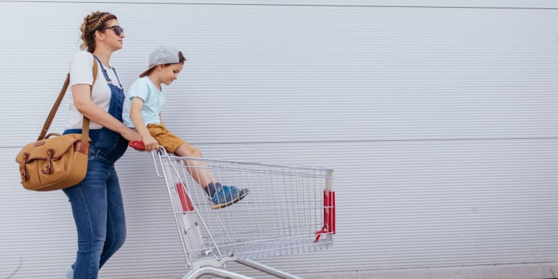 A woman pushing her child in a shopping cart at a store near Chesterton in San Diego, California