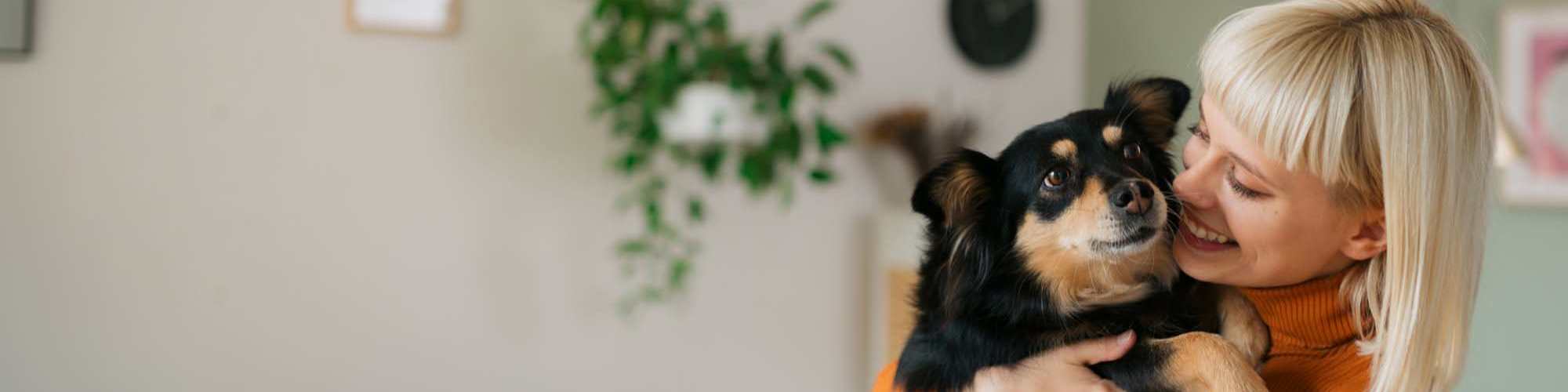 Pet Friendly | The Hayes Apartments in Fort Worth, Texas