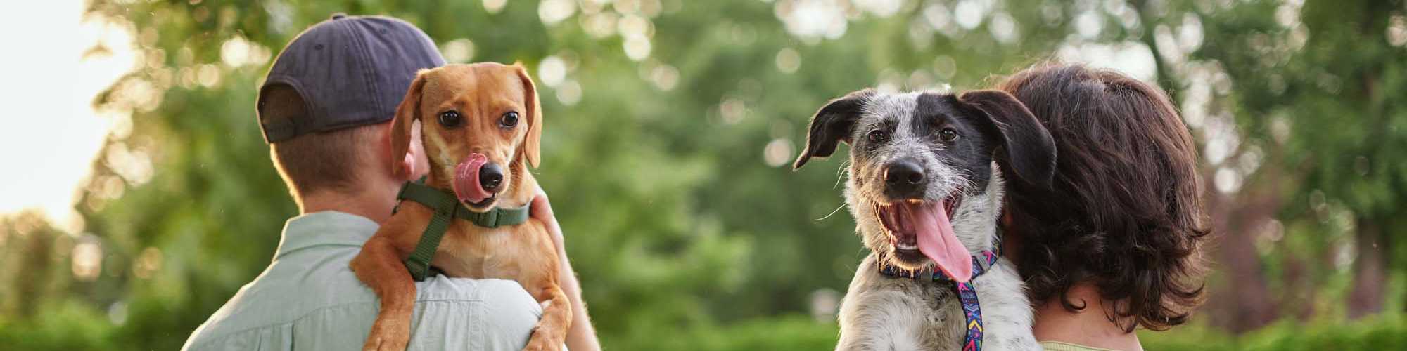 Pet-Friendly | Villas at Quail Creek in Springfield, Missouri