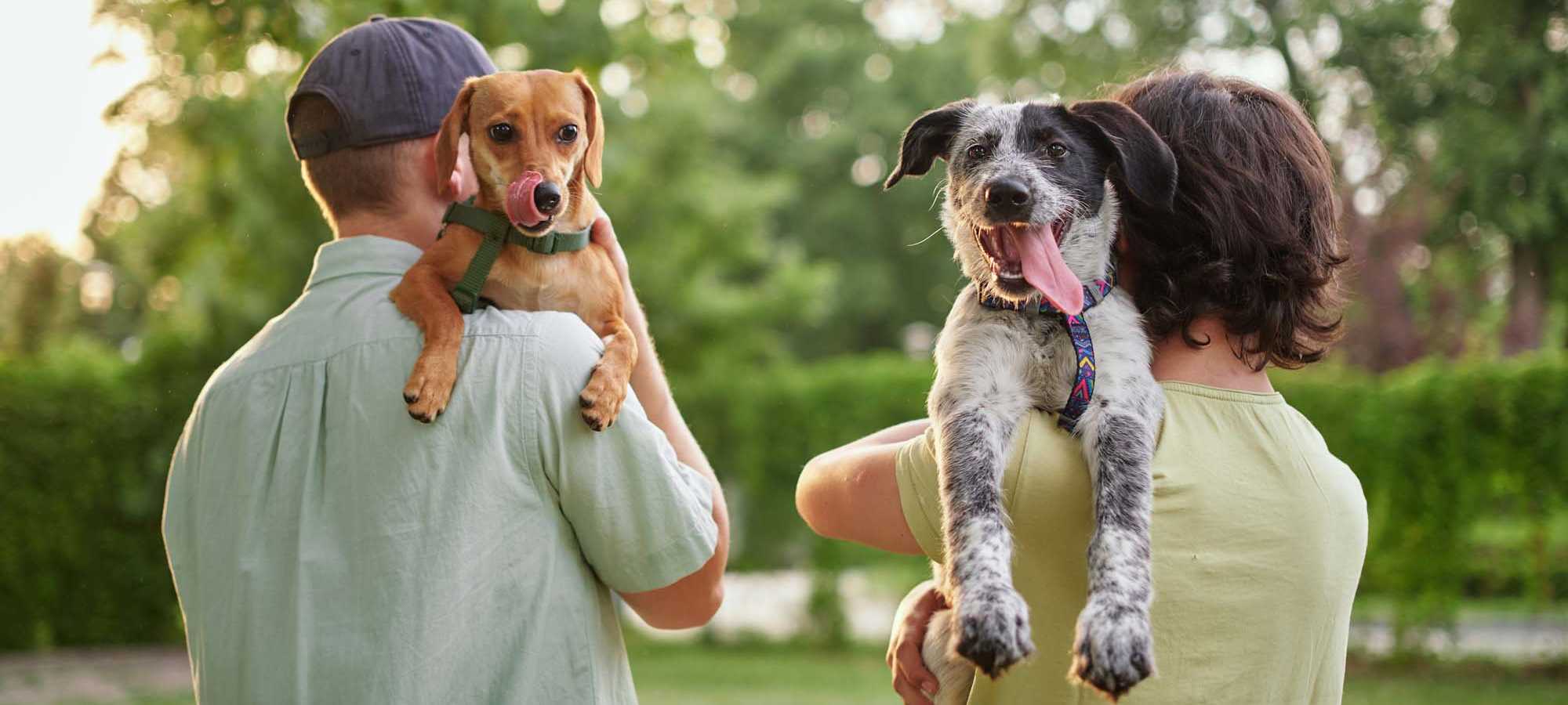 Pet Friendly at Gateway Park Apartments in Denver, Colorado 