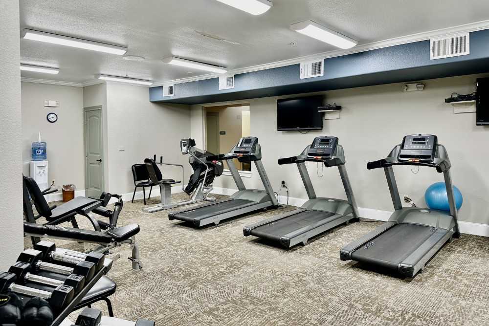 Indoor gym with free weights and multiple treadmills in a room with natural lighting