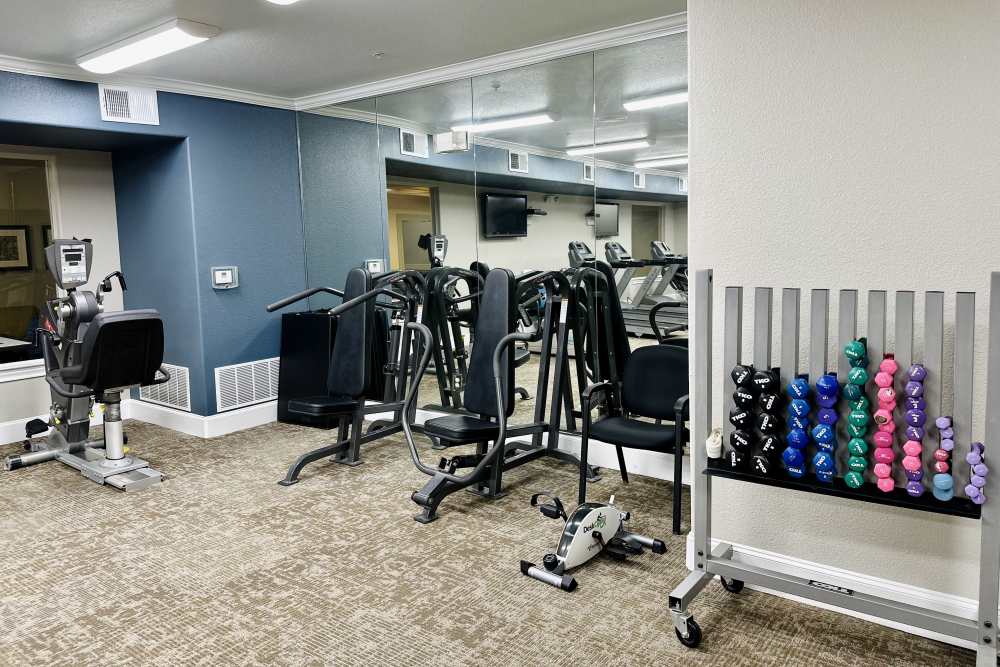 Indoor gym with free weights and multiple treadmills in a room with natural lighting