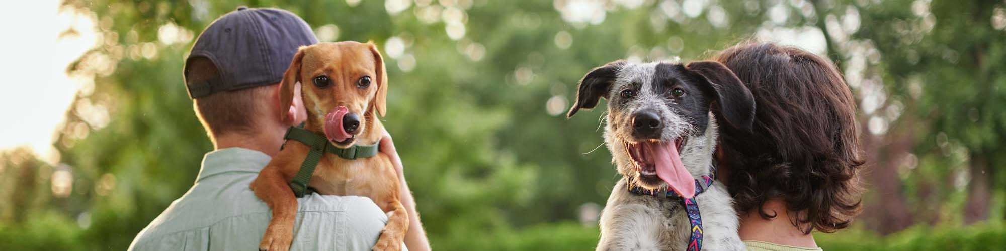 Pet Friendly | Burkart Crossing Apartments in Seymour, Indiana