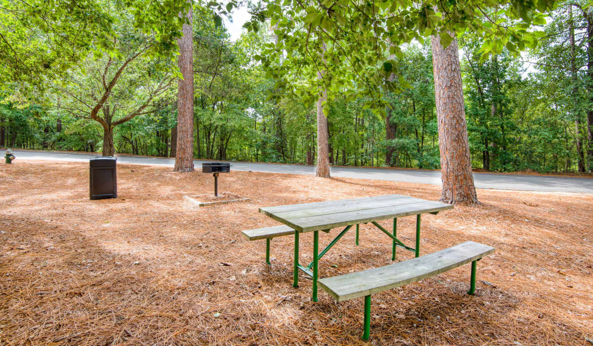 picnic table at Tanglewood Apartments in Southern Pines, North Carolina