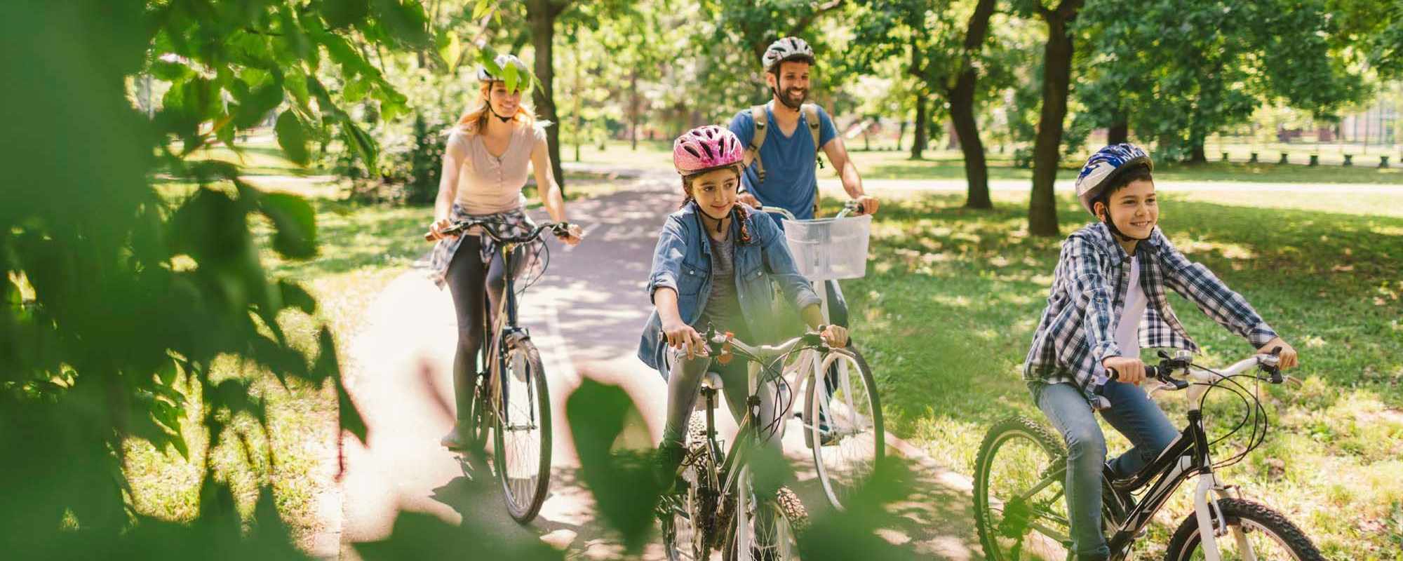 Neighborhood | Walnut Apartments in Santa Rosa, California