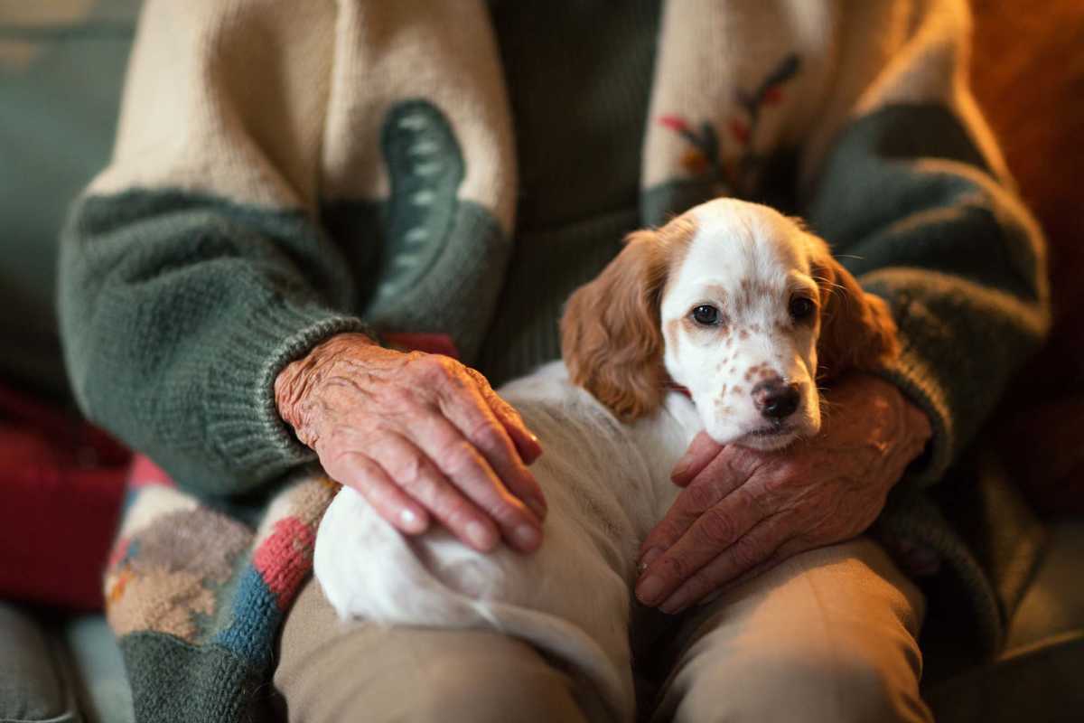 Resident playing with his dog at Hartford Villas in Broken Arrow, Oklahoma