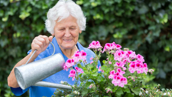 A senior happily watering her flowers