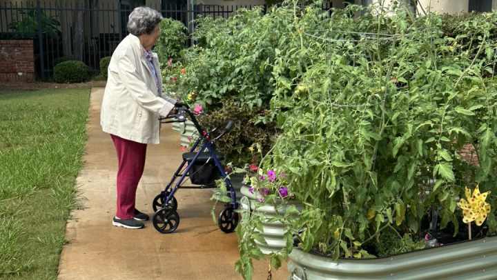 Female resident at Wesley Gardens walking among raised VEGO garden beds