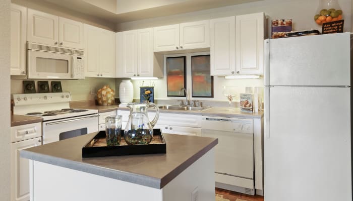Garden Style 1, 2 & 3 Bedroom Apartments in Irving, TX