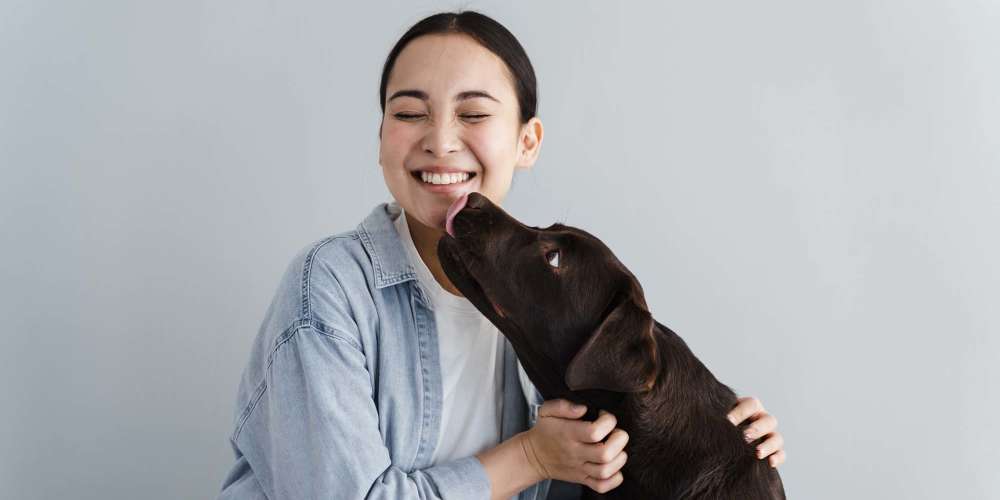 A dog licking its owner at Blue Bell Village in Houston, Texas