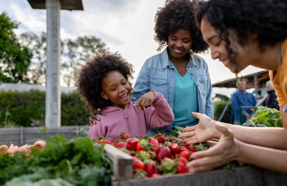 Residents buying in the neighborhood at Pinecrest Apartments in Fallbrook, California