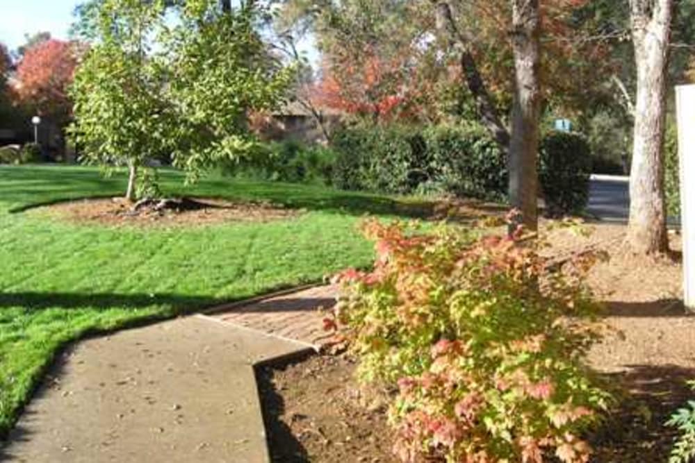 Walkways at Crestview Apartments in Auburn, California