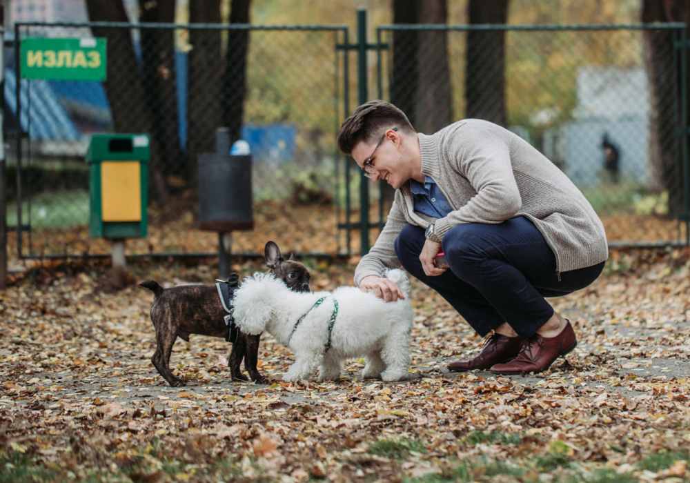 Man playing with dogs in dog park near Redwood in San Marcos, Texas