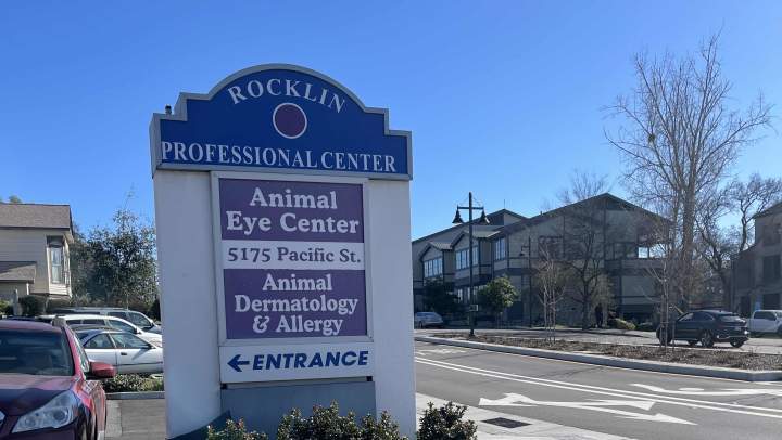 Animal Eye Center (Rocklin, CA)
