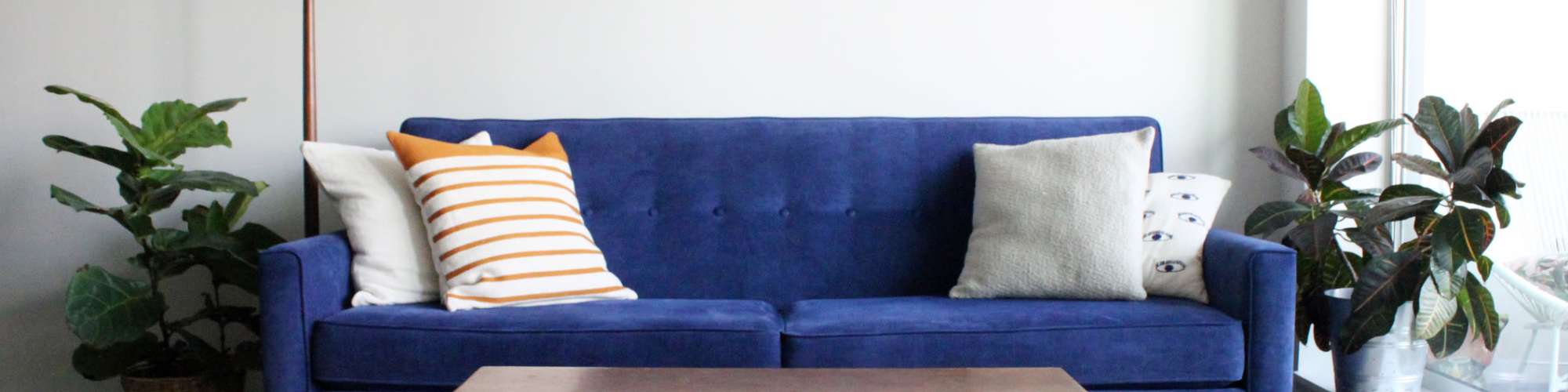 Privacy Policy | Muse Milford in Milford, Connecticut