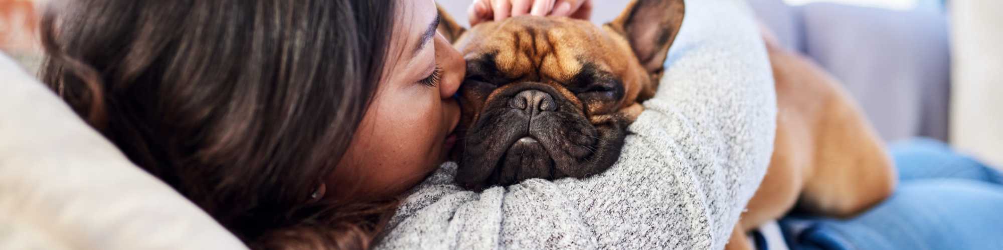 Pet Friendly | Ryan Tower in San Mateo, California