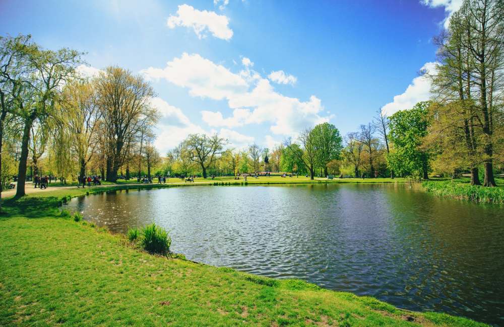 Lake Chabot Regional Park  near Lakeside Village in San Leandro, California