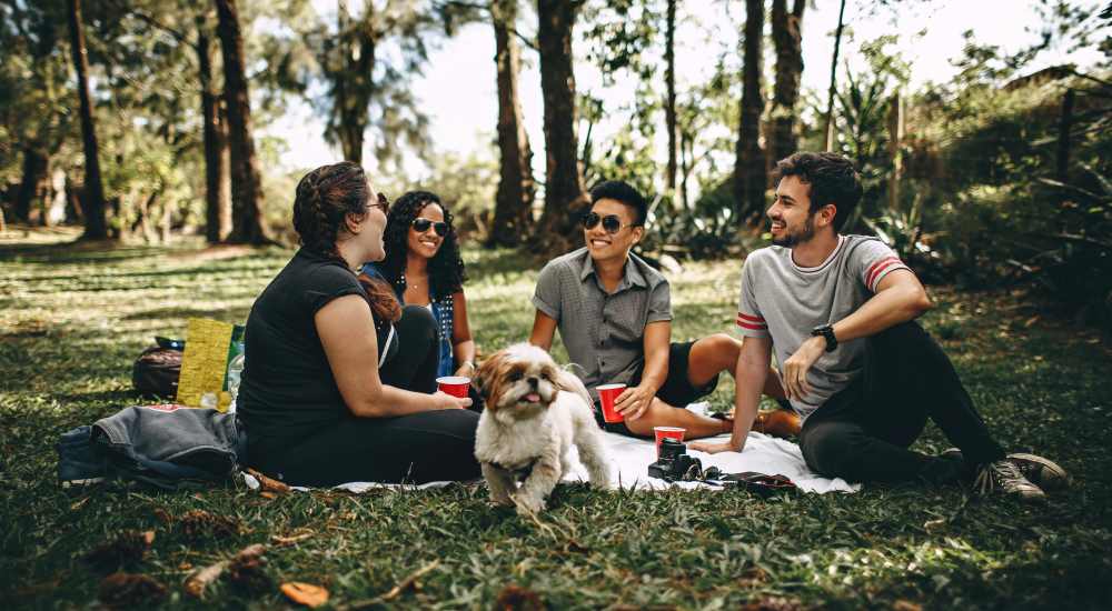 Resident friends having fun at a park near Stillwater in Charlotte, North Carolina