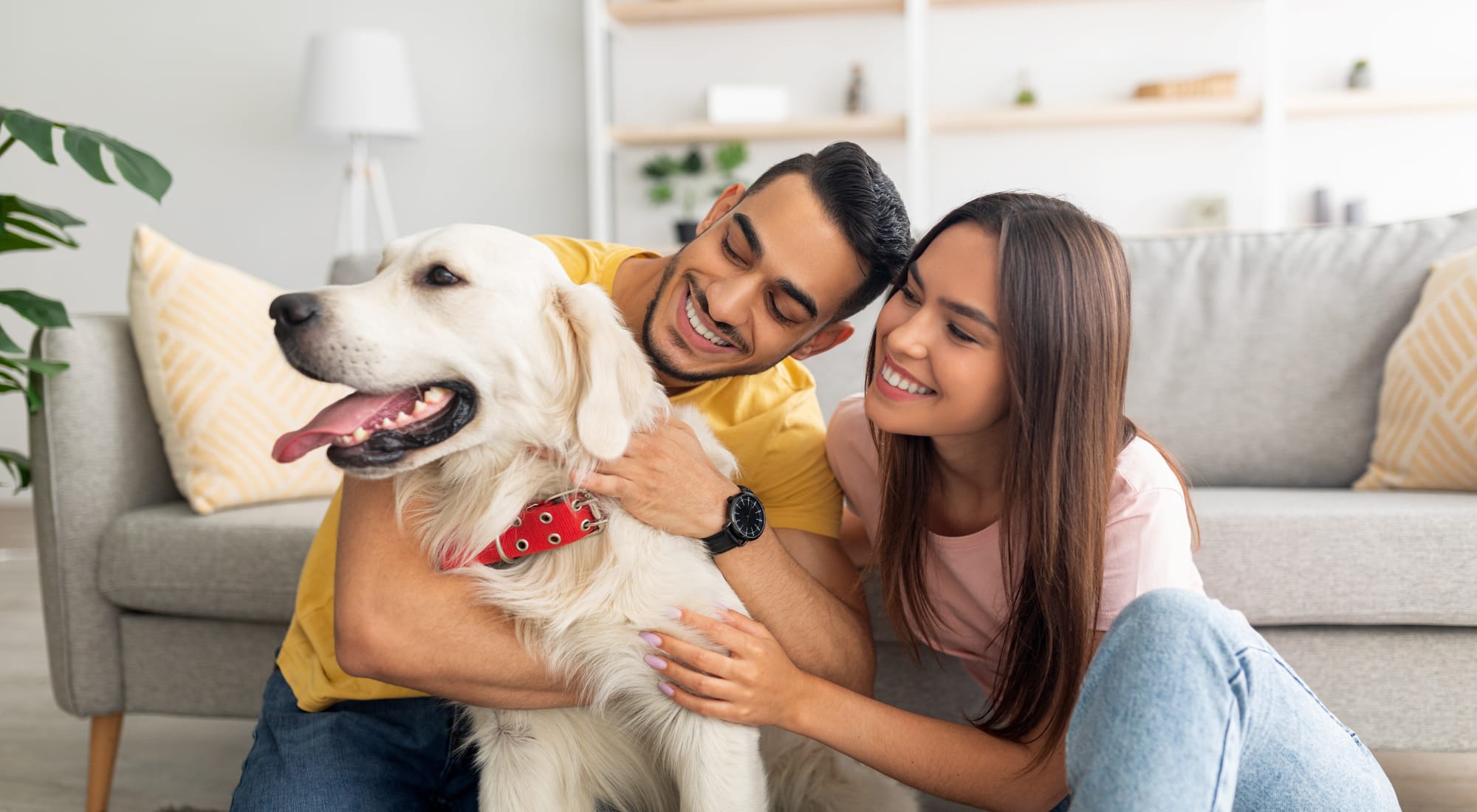 Floor plans at Hampton Manor Apartments and Townhomes in Cockeysville, Maryland