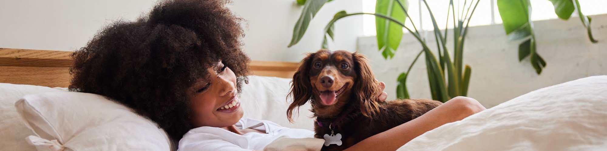 Pet Friendly | Tradewind Apartments in Mesquite, Texas