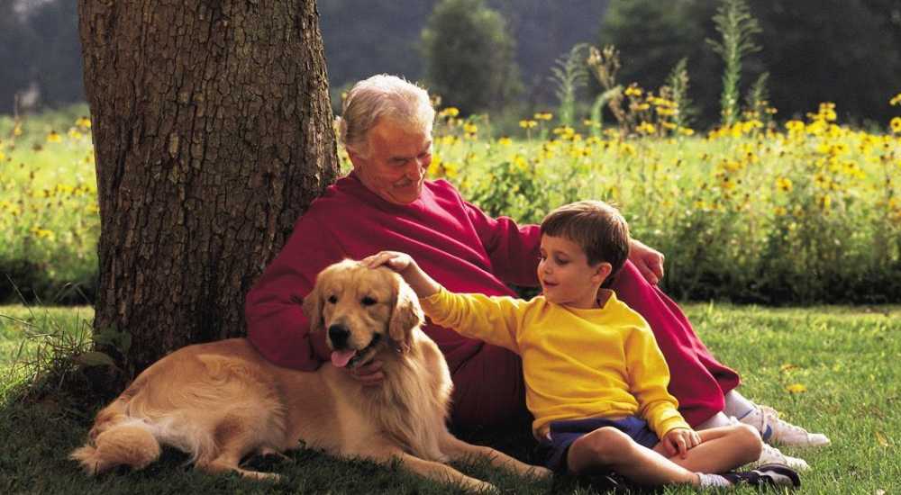 Residents and dog near Flores Gardens in San Mateo, California        